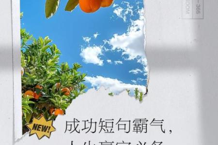 炉中火命与水命的绝妙结合,打造人生辉煌之路