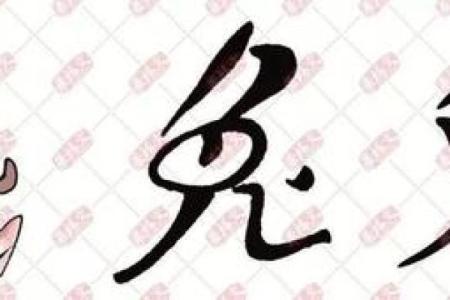 命里有两个兔:解读双兔之谜与人生启示