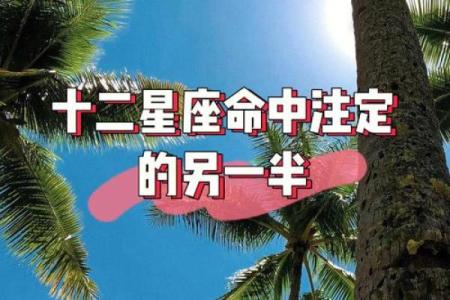 牛年正月出生的命格解析：谁是命中注定的赢家？