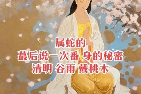 六五年属蛇人的命运与性格解析:智慧与魅力的结合之道