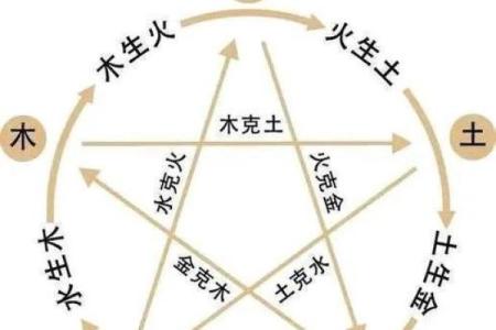 浅析木命与其它命相克的深层联系与影响