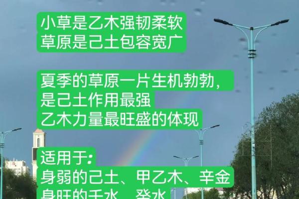 探秘命格中乙木命的深意与人生启示