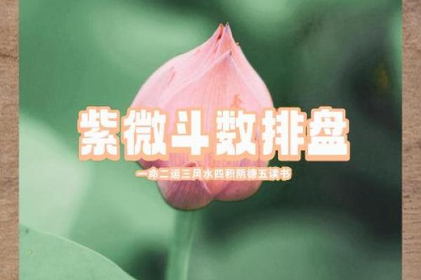 女人该是什么命就是什么命，命运的真正奥秘是什么？