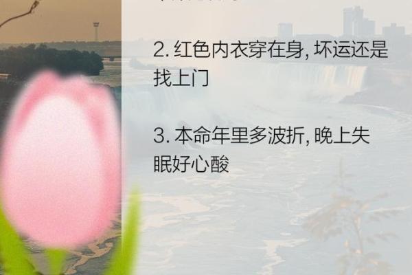 揭开命格的神秘面纱：如何理解与运用命理学