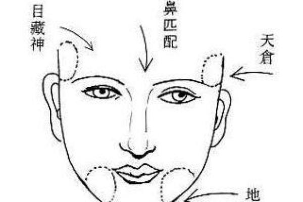 女孩四两六钱是什么命？揭秘命理背后的女人魅力