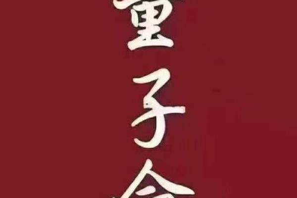 探秘命犯童子：揭开命理与人生的神秘面纱