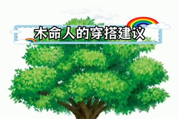 选择适合木命人的名字，为人生添福增辉