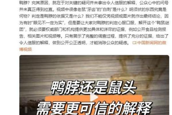 命里有个鼠的深层含义与生活启示