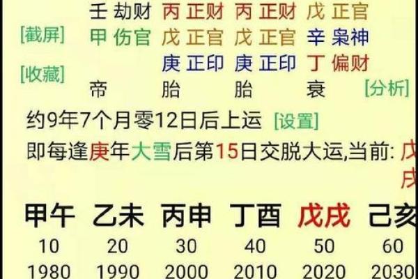 命局解析：一印一帮的深层意义与人生启示