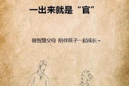 探索六三年五月兔的命运与人生智慧