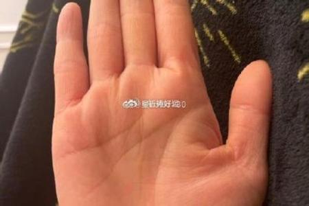 男命女命看手相:如何解读你的命运之线与人生轨迹
