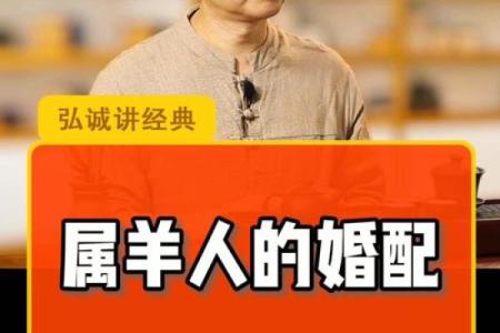 六七年出生的羊,命运与性格的秘密探究