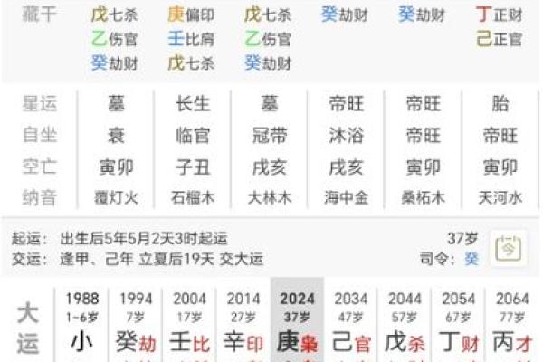 女命流年食神解析：理解命理中的美与福气