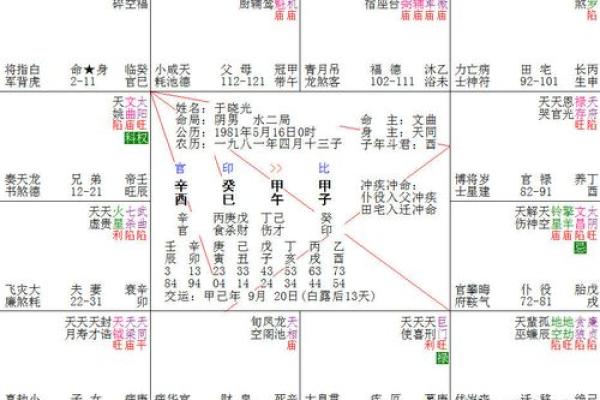 男命中伤官多，性格与命运的深层解析