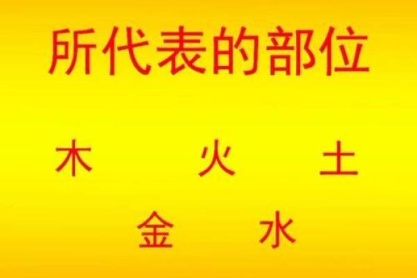 探索命理五行中的秘密：如何找到缺失的元素提升个人运势！