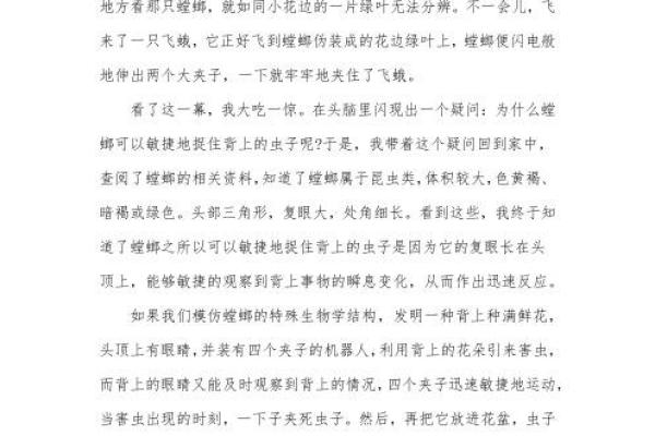 探索“命”的深邃含义：从字源到生活的启示