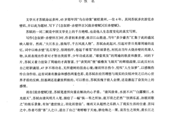 探索命的奥秘：人生中的加点词解读与启示