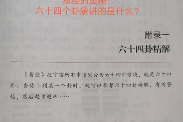 女生手上九个螺纹暗示着独特命运，揭示人生奥秘！