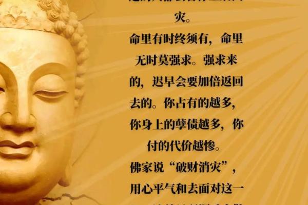 命里有终须有：探索命运与努力的辩证关系