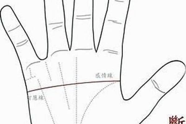 探秘命理三维空间：宇宙与人生命运的交汇点