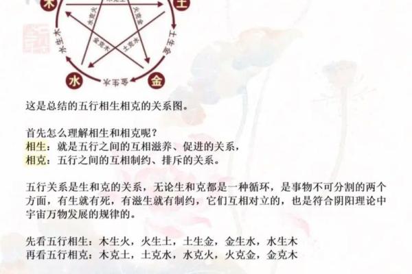 女命坤造十神解析：揭开命理学的神秘面纱