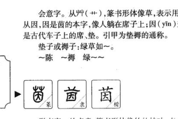 男石榴木命五行分析：寻找内心的平衡与和谐