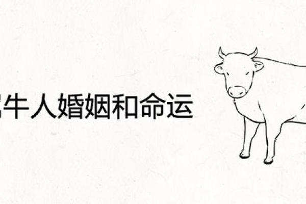 牛年十月初九出生的人，命运与性格的深度解析