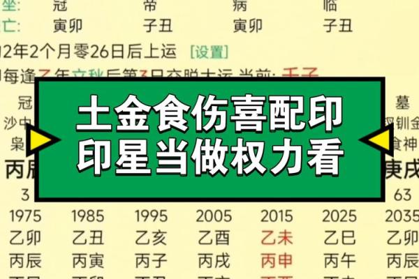 无食伤的命局解析：如何理解与应对人生的挑战与机遇