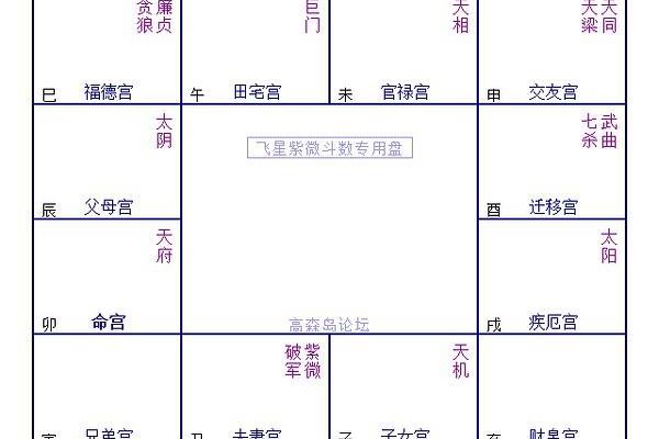 命里有紫微星女的深意与人生启示