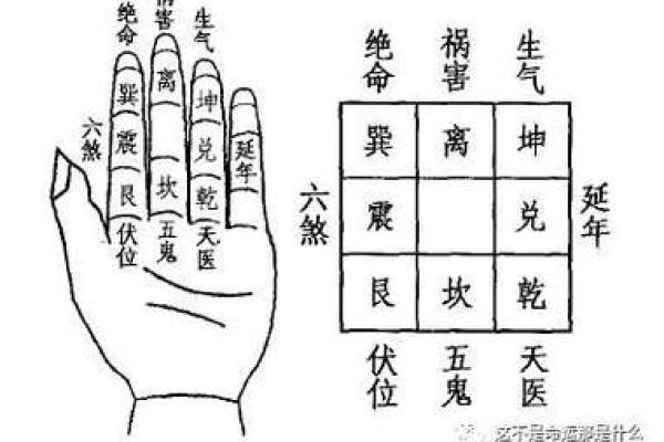 探索命卦坤卦四命的奥秘，解读人生智慧与潜能