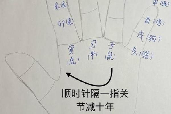 如何从命理角度看女命对丈夫的影响：旺夫命的探秘
