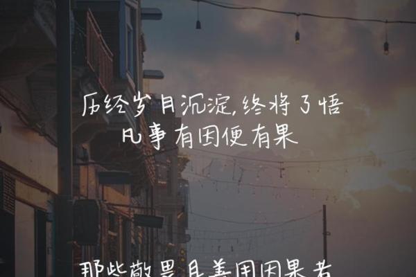 拼了命想念你：爱在岁月的轮回中绽放