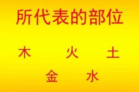 探索命理五行中的秘密:如何找到缺失的元素提升个人运势!