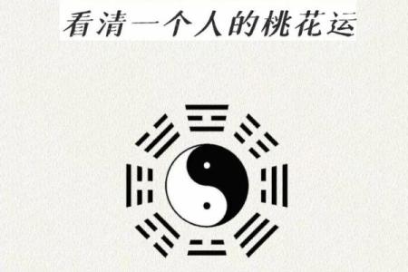 命理缺什么男命，给婚姻带来好运的秘密揭秘！