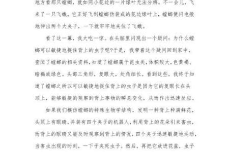 探索“命”的深邃含义：从字源到生活的启示
