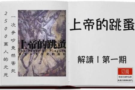 探索命的奥秘:人生中的加点词解读与启示