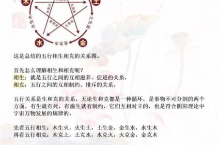 女命坤造十神解析：揭开命理学的神秘面纱