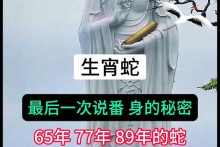 六五年属蛇的命运与性格解读:知晓你的命,活得更加从容自信!