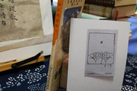 六斤二两男孩的命运解析:解析命运的奥秘与人生的启示
