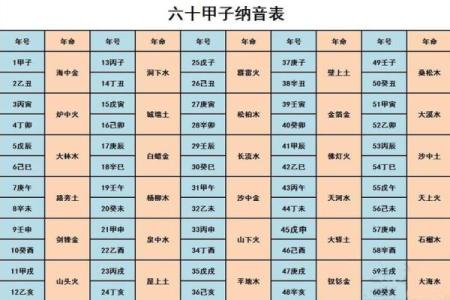 命属阳木的人性格特征与人生探索
