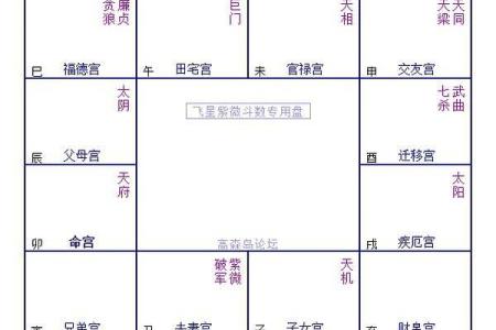 命里有紫微星女的深意与人生启示