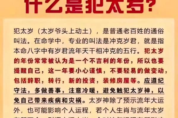 女性生肖和命运的深刻联系：揭秘你的生肖与未来