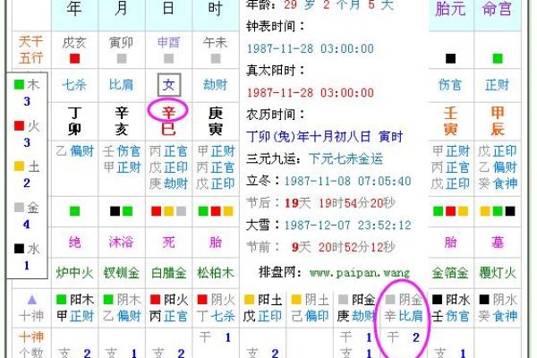 农历8月初三出生的猴命解析：从五行看你的命运之路