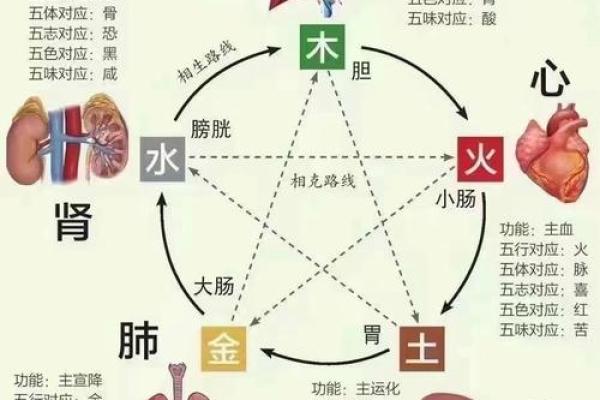 探索「两火一土」五行命理：揭示生命背后的秘密与力量