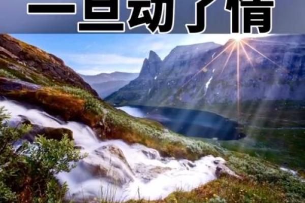 命运的安排：每个人都有机会成为警察的故事