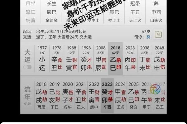 探秘命理：命无食伤的深刻含义与人生启示