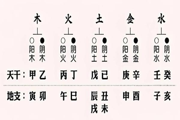 女命偏财解析：解读偏财在女性命理中的重要性与意义