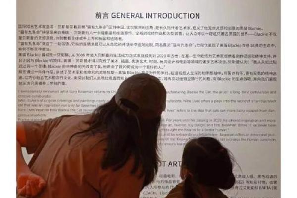 猫咪的九条命：神秘与传说背后的深意