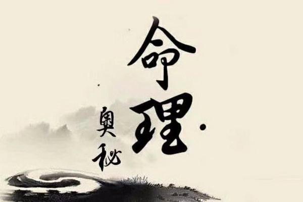命理解析：女命女孩的命太太命，揭示她们命运的奥秘与机遇