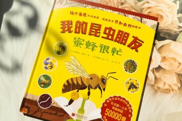 生活中蜜蜂的价值与保护——不可或缺的小小盟友